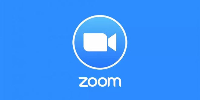 zoom-neweduc-660x330